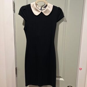Alice and Olivia Dress with Peter Pan collar